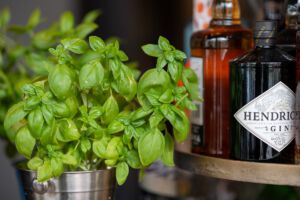 CaféZeit Piccolo - Spirituosen